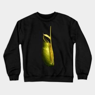 Nepenthes tropical pitcher plant botanical drawing carnivorous plant Crewneck Sweatshirt